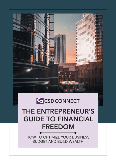 The Entrepreneur’s Guide to Financial Freedom (eBook)